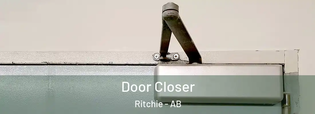  Door Closer Ritchie - AB