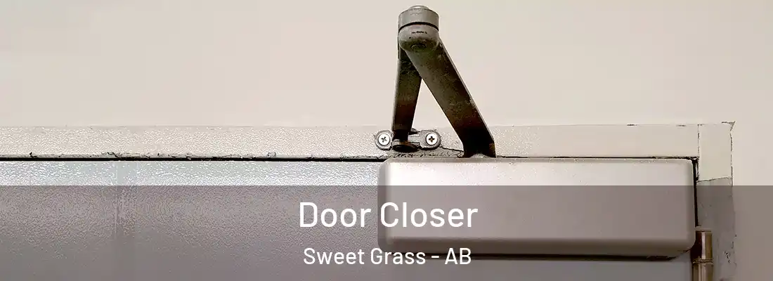  Door Closer Sweet Grass - AB