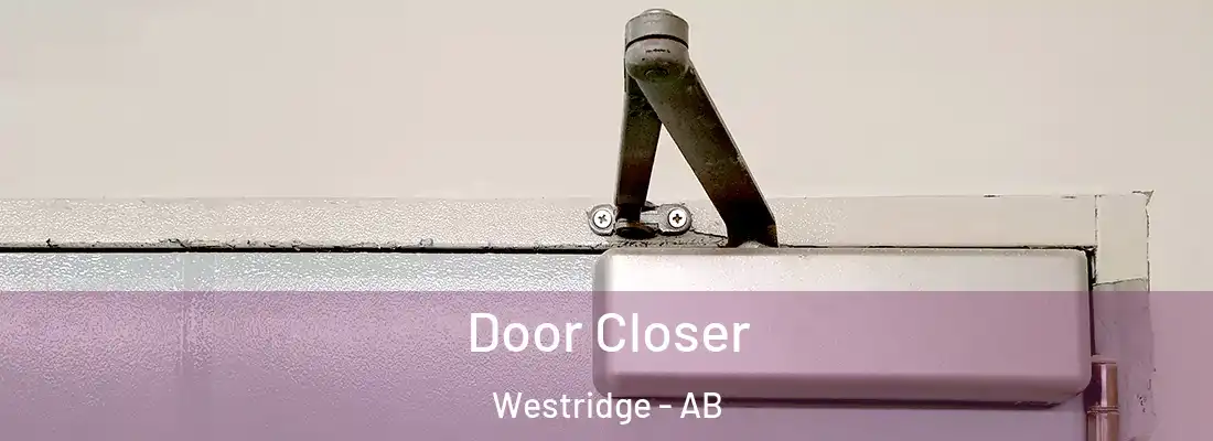  Door Closer Westridge - AB