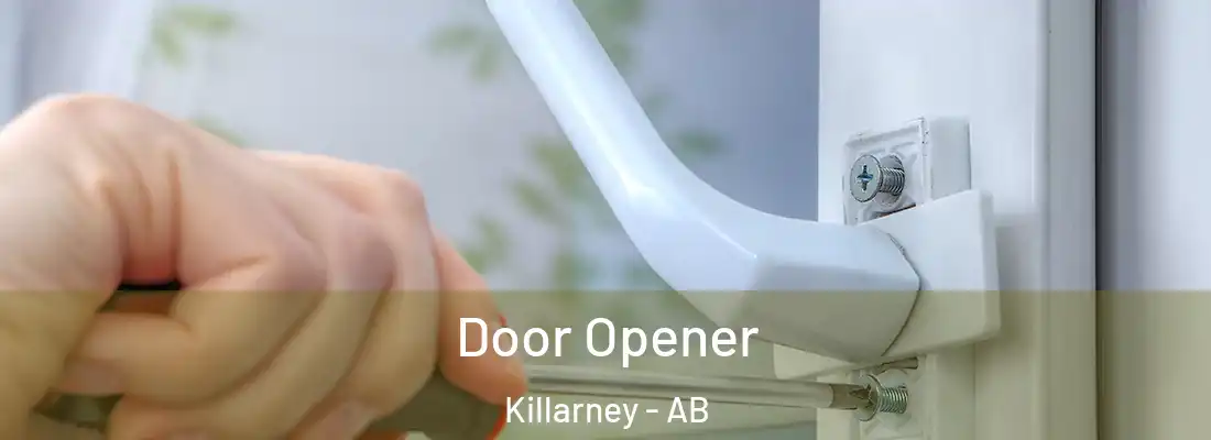  Door Opener Killarney - AB