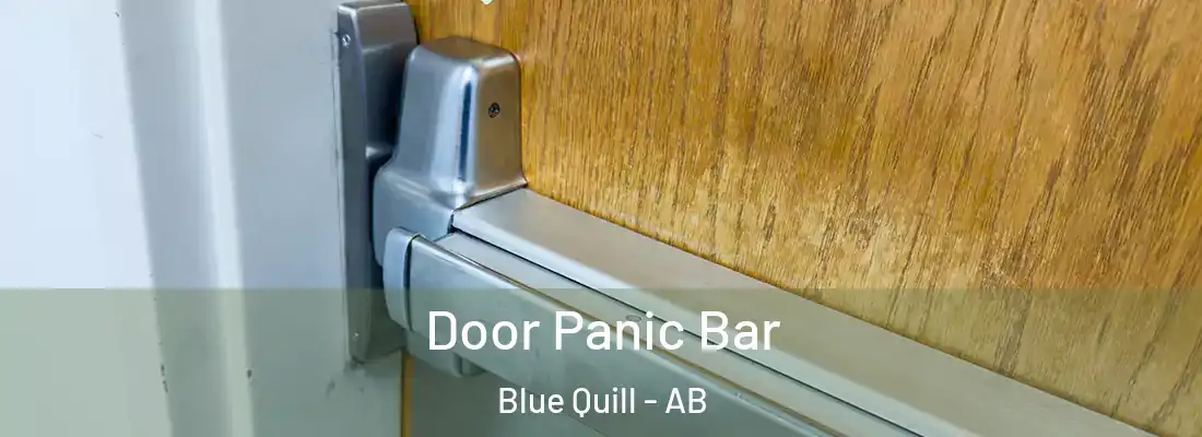  Door Panic Bar Blue Quill - AB