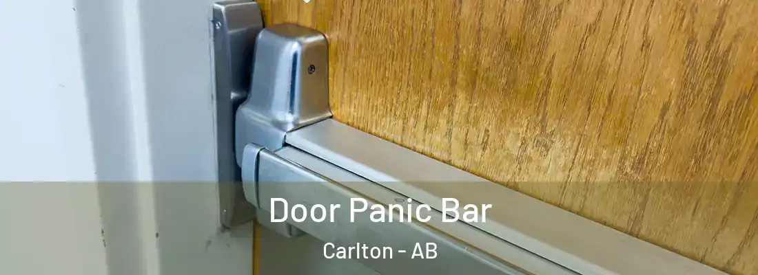  Door Panic Bar Carlton - AB