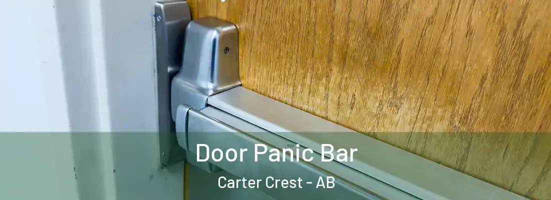 Door Panic Bar Carter Crest - AB