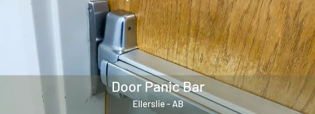 Door Panic Bar Ellerslie - AB