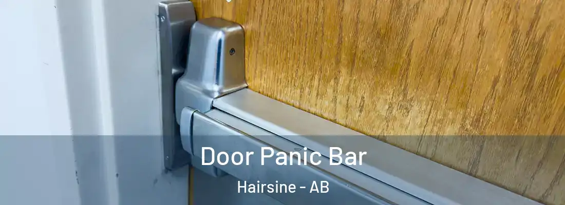  Door Panic Bar Hairsine - AB