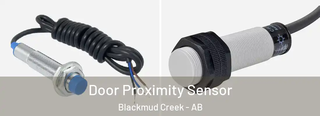  Door Proximity Sensor Blackmud Creek - AB