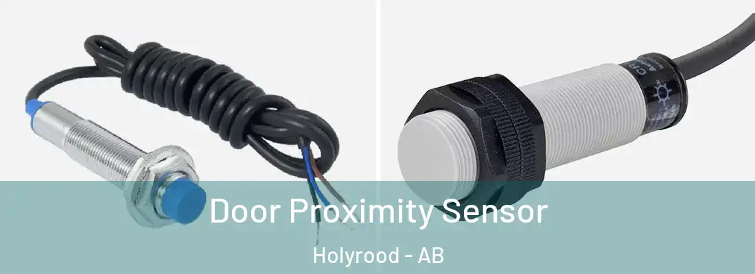  Door Proximity Sensor Holyrood - AB
