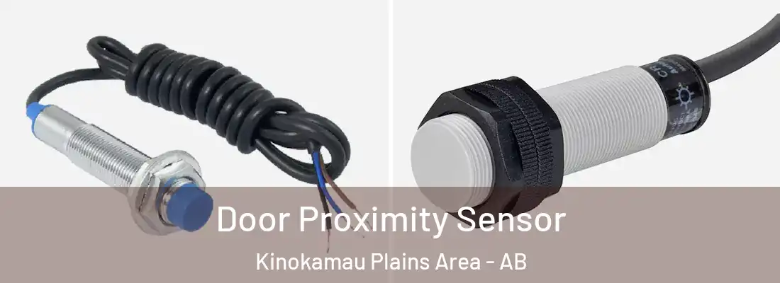  Door Proximity Sensor Kinokamau Plains Area - AB