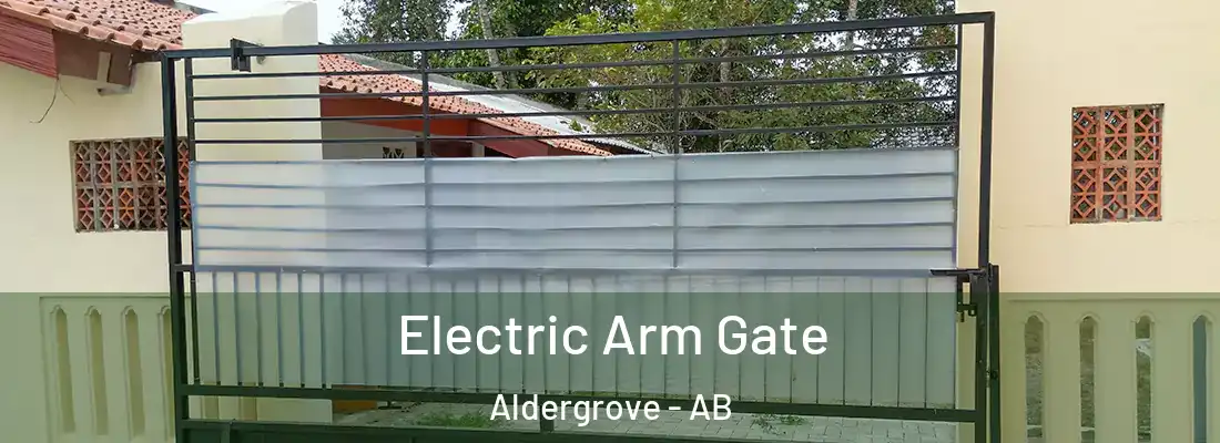  Electric Arm Gate Aldergrove - AB