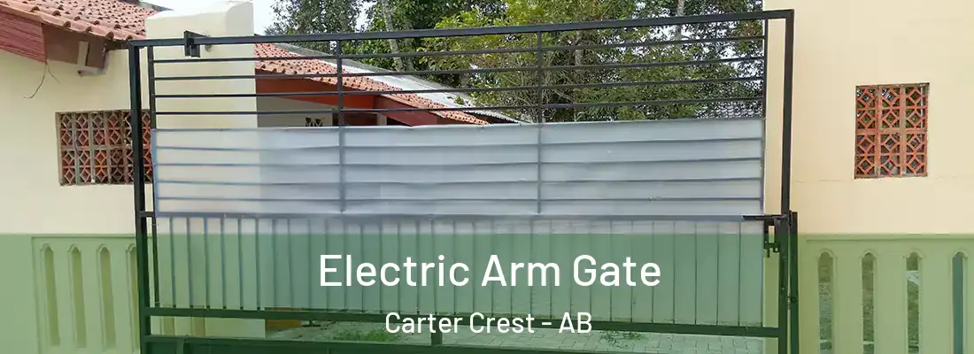  Electric Arm Gate Carter Crest - AB