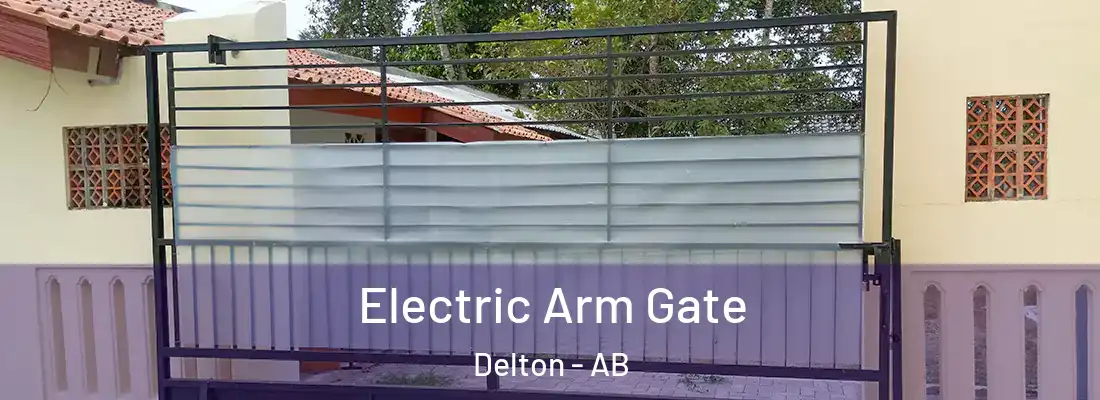  Electric Arm Gate Delton - AB