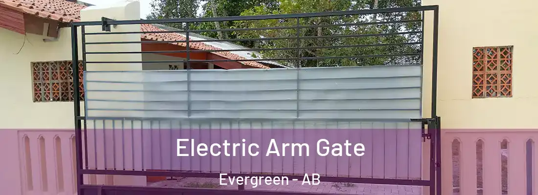  Electric Arm Gate Evergreen - AB