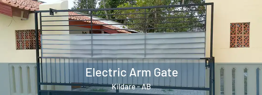  Electric Arm Gate Kildare - AB