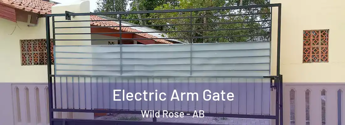  Electric Arm Gate Wild Rose - AB