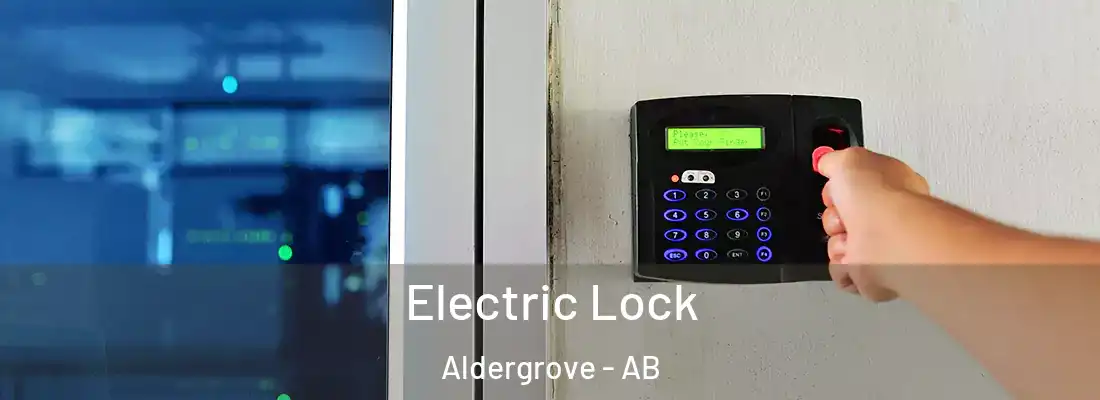  Electric Lock Aldergrove - AB