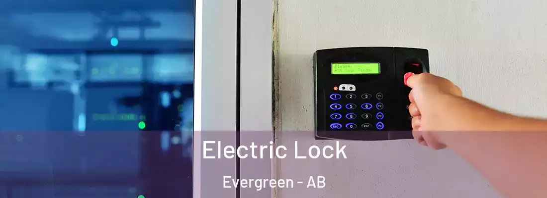  Electric Lock Evergreen - AB