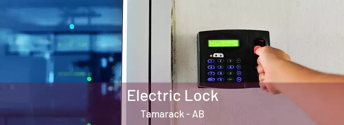  Electric Lock Tamarack - AB