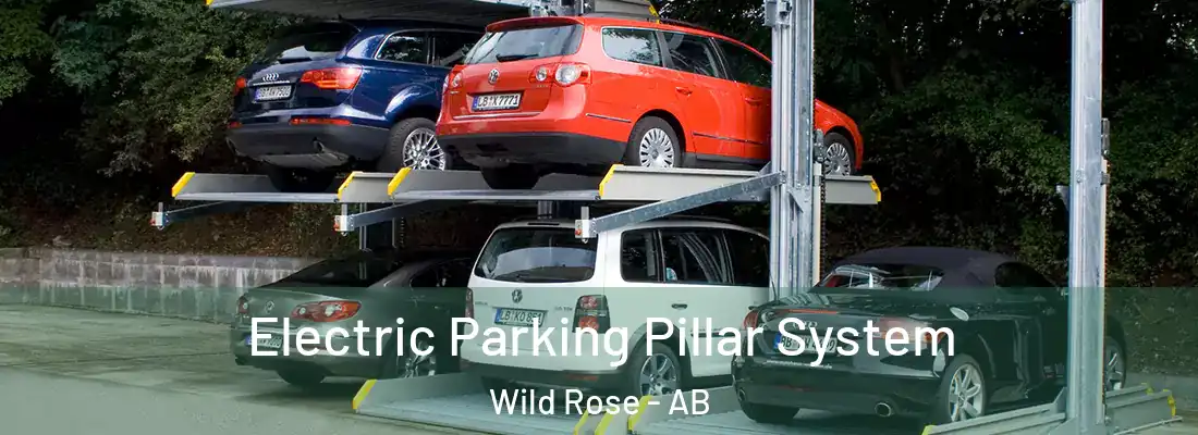  Electric Parking Pillar System Wild Rose - AB