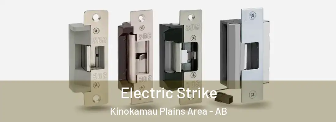  Electric Strike Kinokamau Plains Area - AB