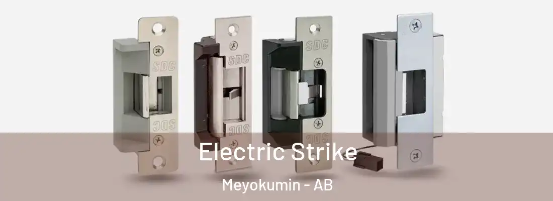  Electric Strike Meyokumin - AB