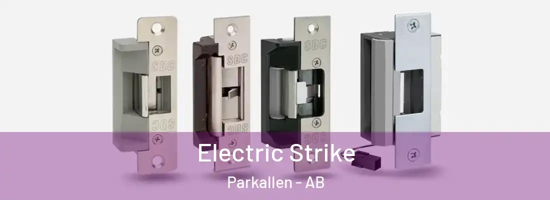  Electric Strike Parkallen - AB