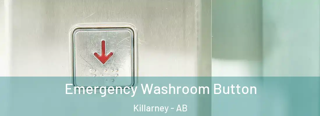  Emergency Washroom Button Killarney - AB