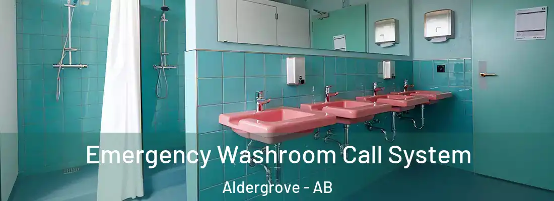  Emergency Washroom Call System Aldergrove - AB