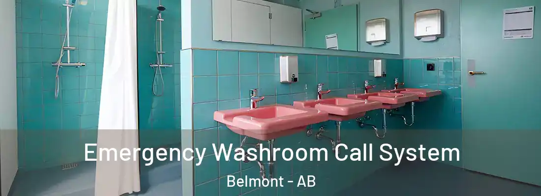  Emergency Washroom Call System Belmont - AB