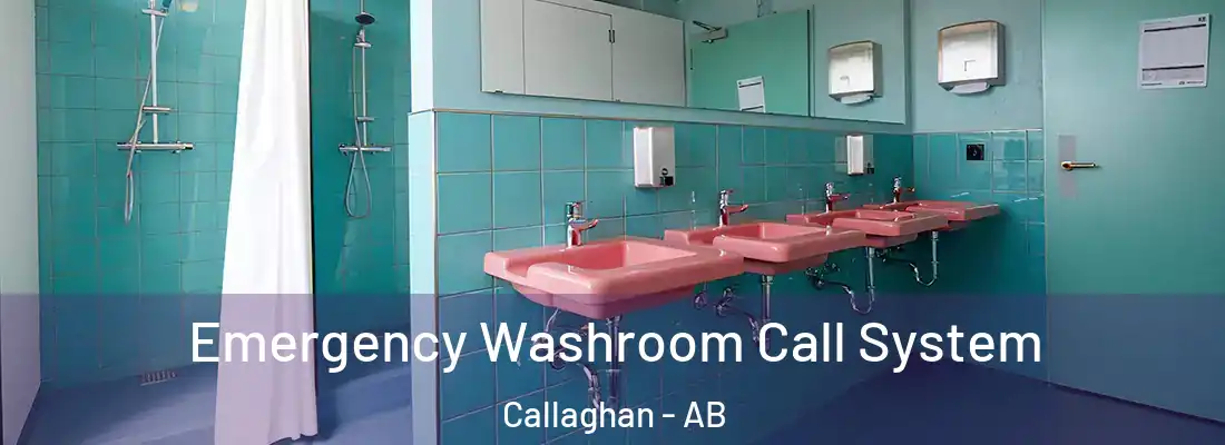  Emergency Washroom Call System Callaghan - AB