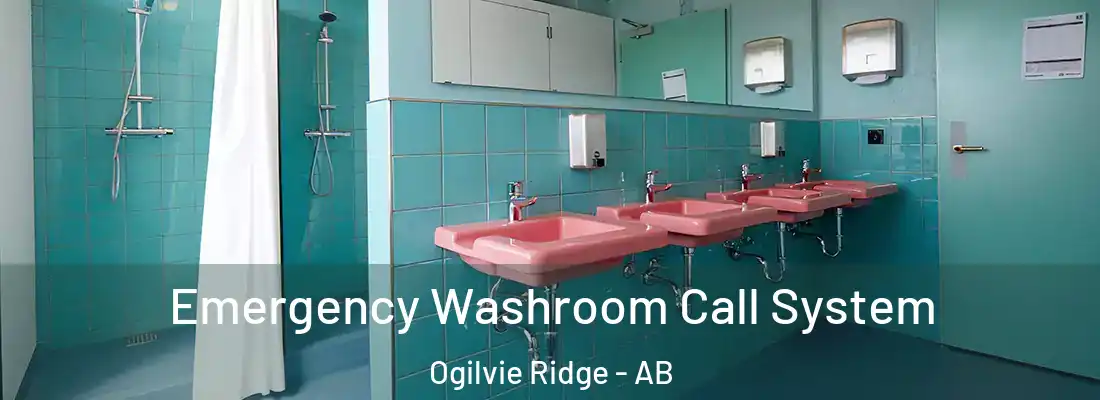  Emergency Washroom Call System Ogilvie Ridge - AB
