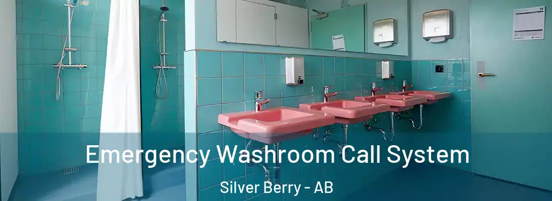  Emergency Washroom Call System Silver Berry - AB