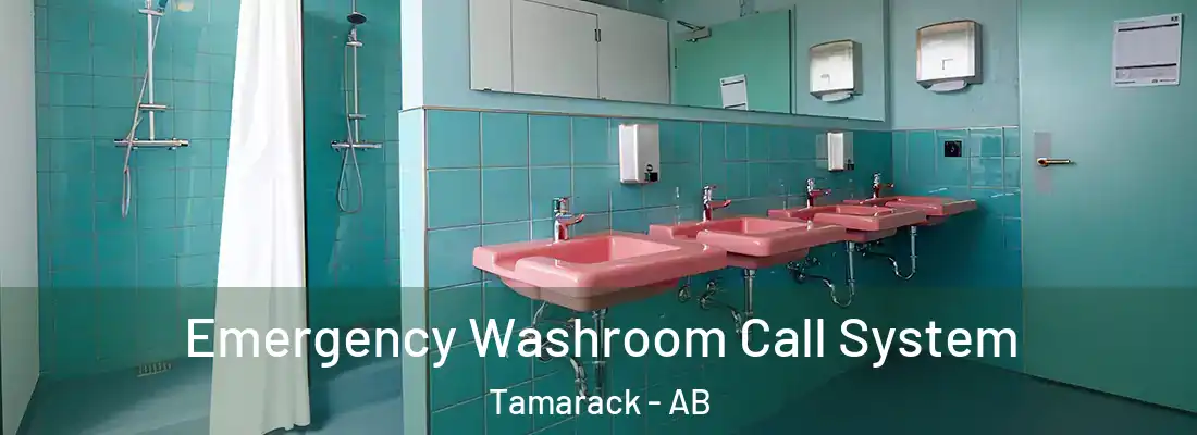  Emergency Washroom Call System Tamarack - AB