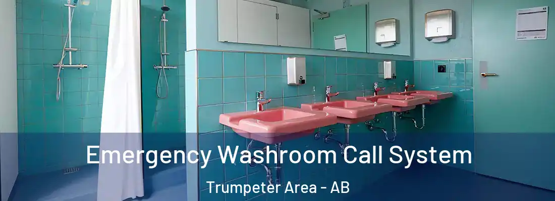  Emergency Washroom Call System Trumpeter Area - AB
