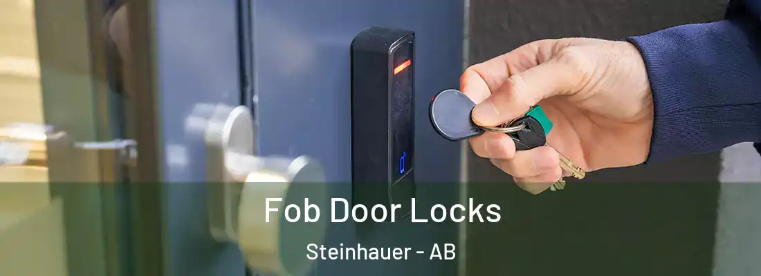  Fob Door Locks Steinhauer - AB