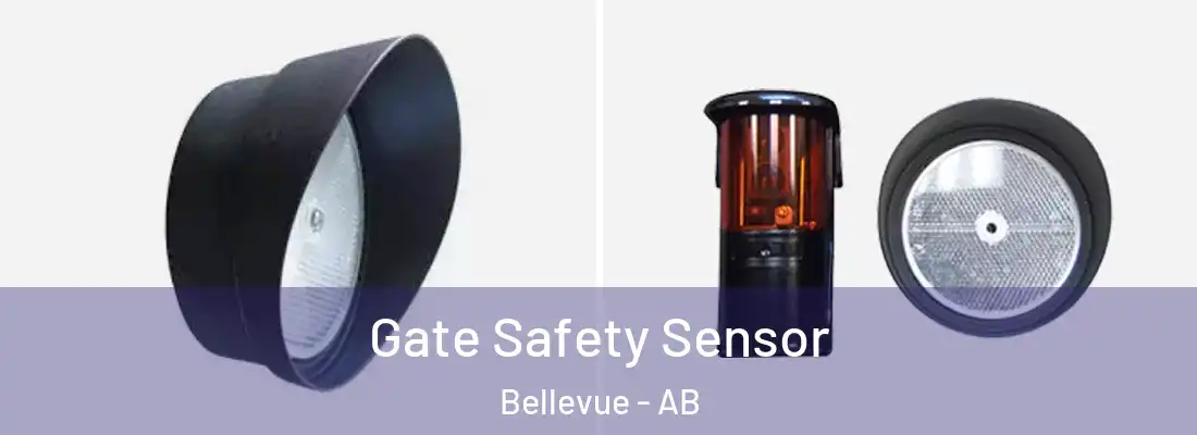  Gate Safety Sensor Bellevue - AB