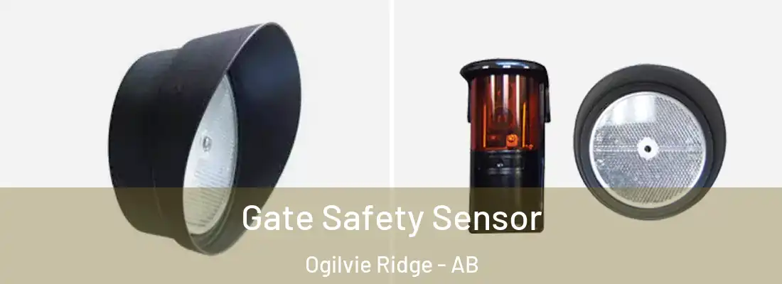  Gate Safety Sensor Ogilvie Ridge - AB