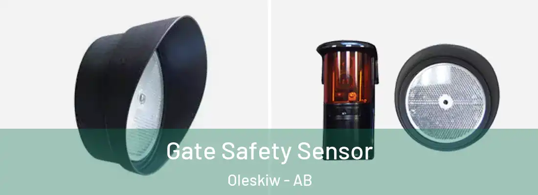  Gate Safety Sensor Oleskiw - AB