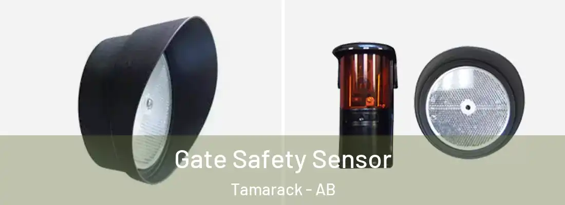  Gate Safety Sensor Tamarack - AB