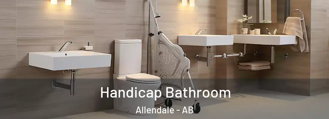  Handicap Bathroom Allendale - AB