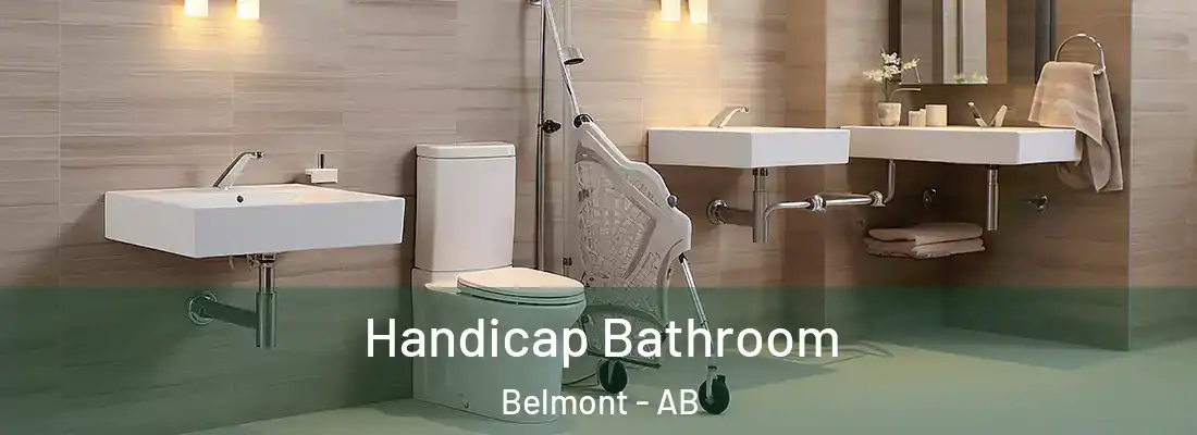  Handicap Bathroom Belmont - AB