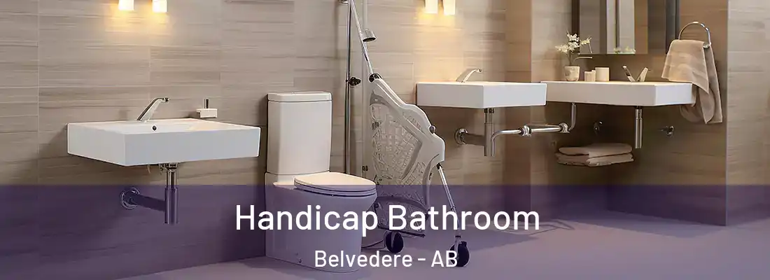  Handicap Bathroom Belvedere - AB