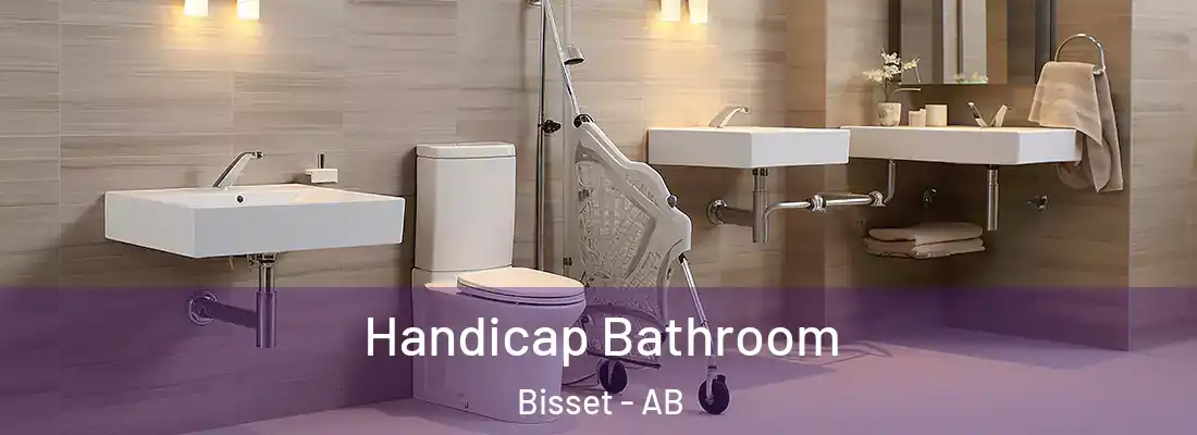  Handicap Bathroom Bisset - AB