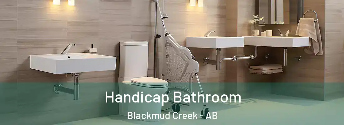  Handicap Bathroom Blackmud Creek - AB