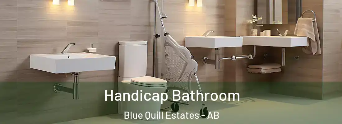  Handicap Bathroom Blue Quill Estates - AB