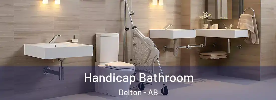  Handicap Bathroom Delton - AB