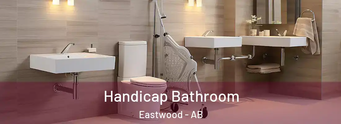  Handicap Bathroom Eastwood - AB