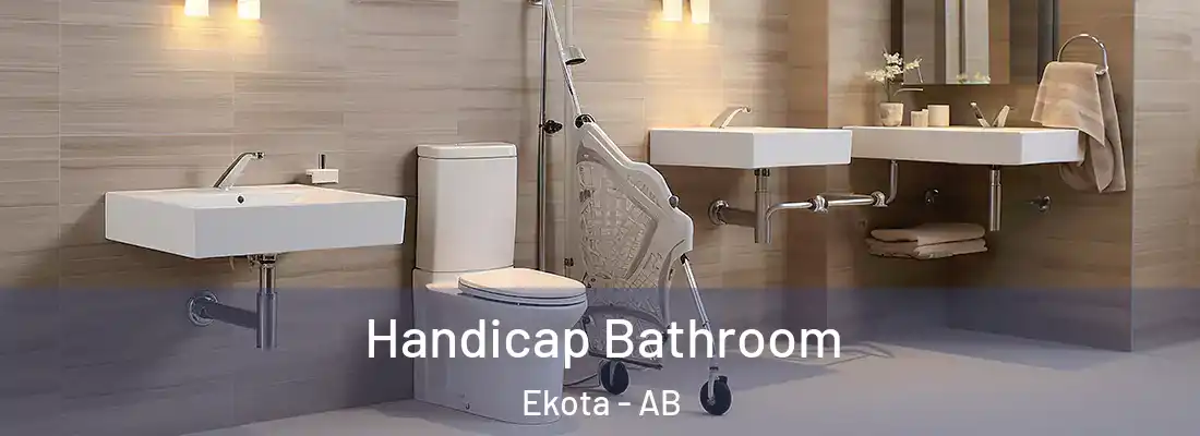  Handicap Bathroom Ekota - AB