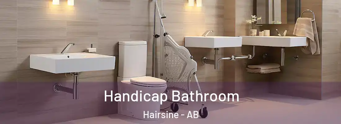  Handicap Bathroom Hairsine - AB