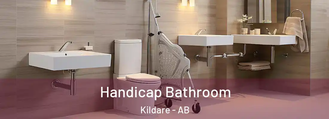  Handicap Bathroom Kildare - AB