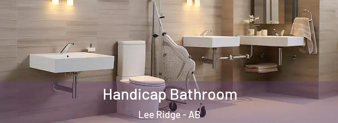  Handicap Bathroom Lee Ridge - AB